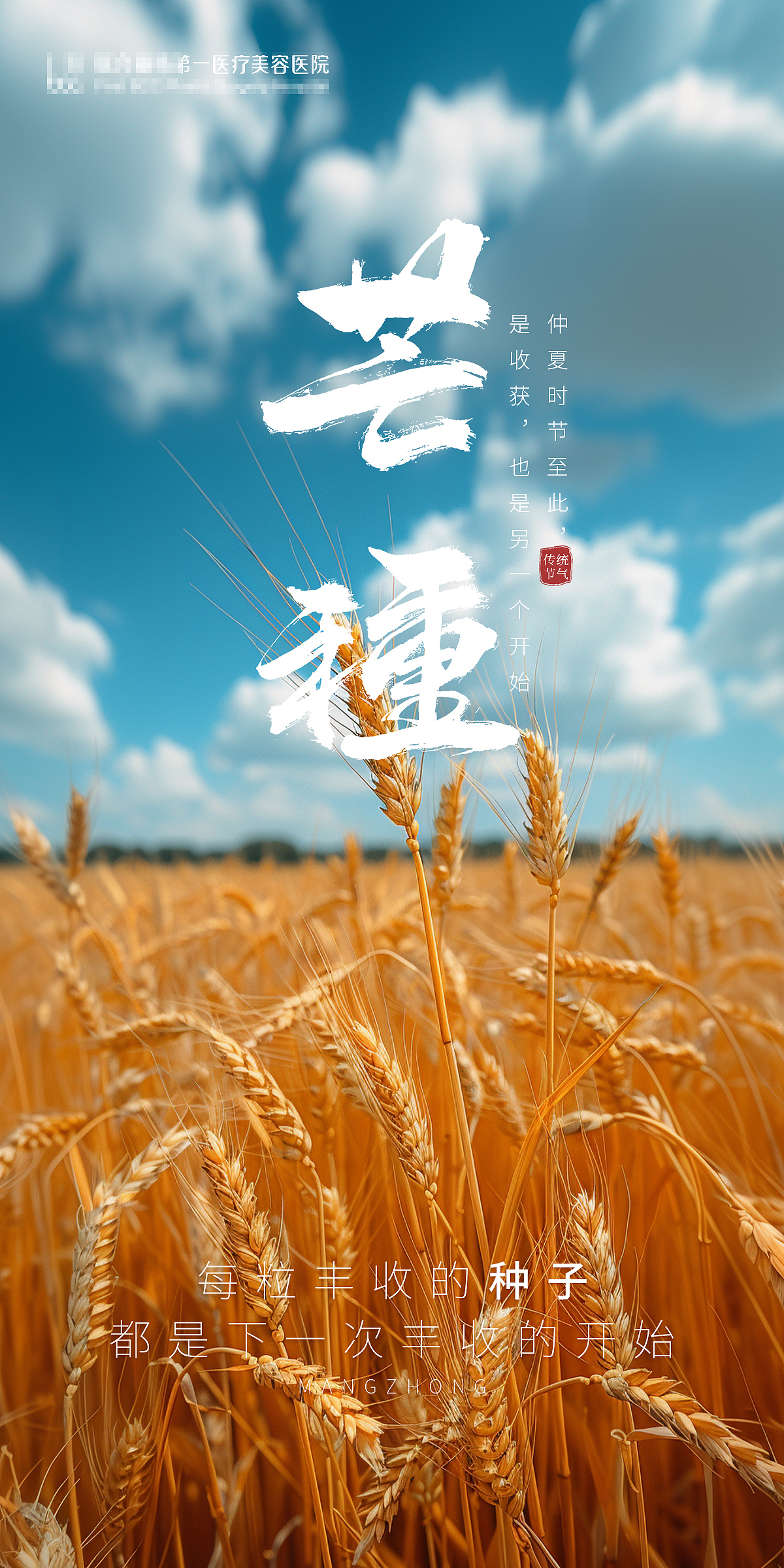 芒種海報(bào)（圖ZMzcwMDQ2NjA0） - 海報(bào) - 站酷設(shè)計(jì)師靜柳飄絮原創(chuàng)素材 - 站酷ZCOOL