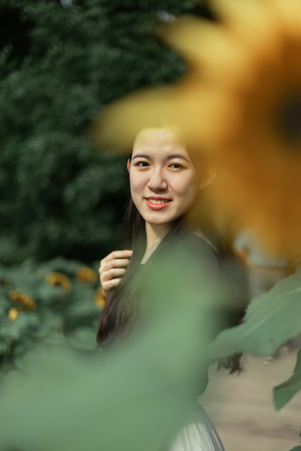 北京奥森向日葵花拍摄毕业照拍摄人像摄影写真北京约拍