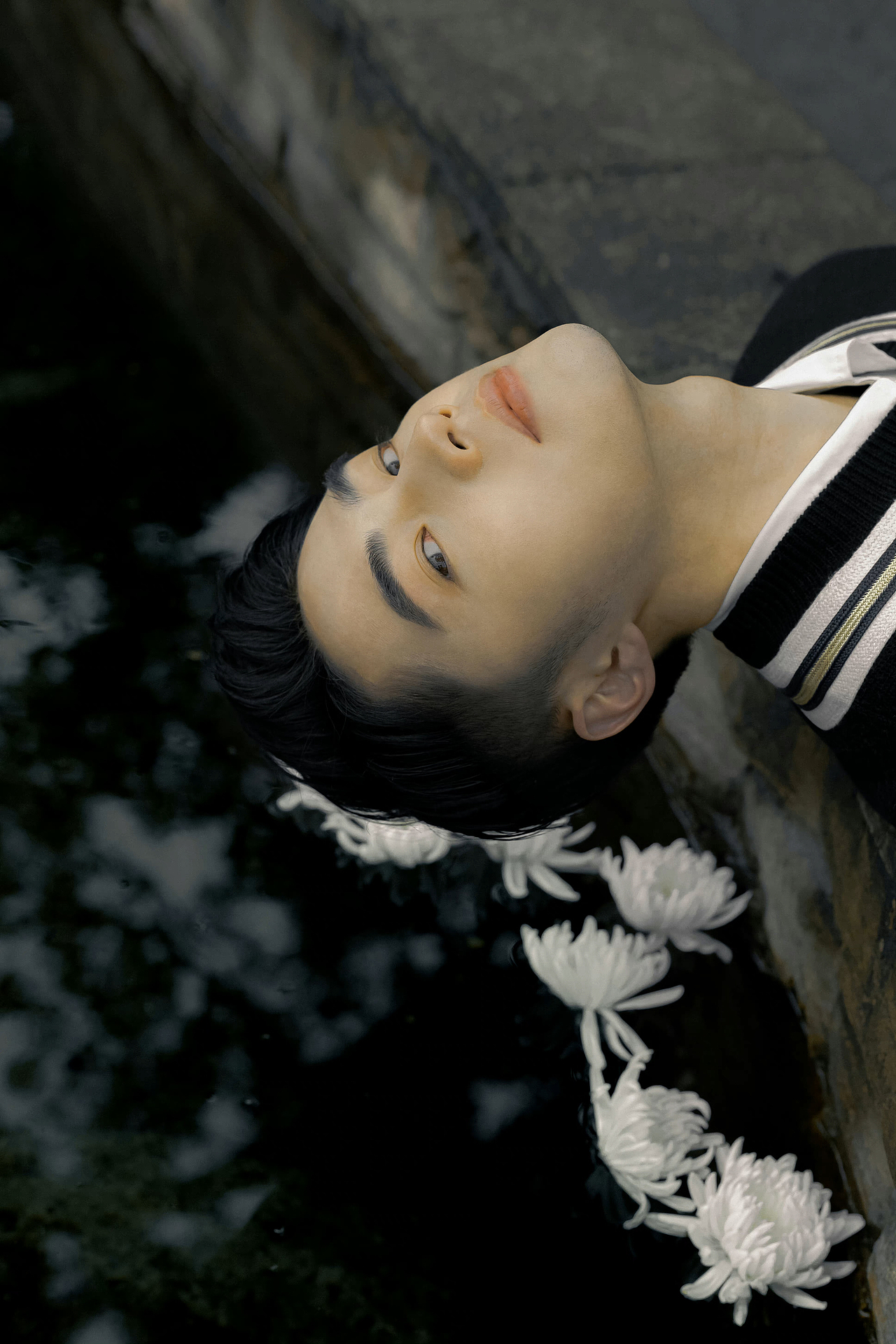 花蕊·白菊chrysanthemum（图ZMzA1ODMxODYw） - 人像摄影 - 站酷设计师陈研志原创素材 - 站酷ZCOOL