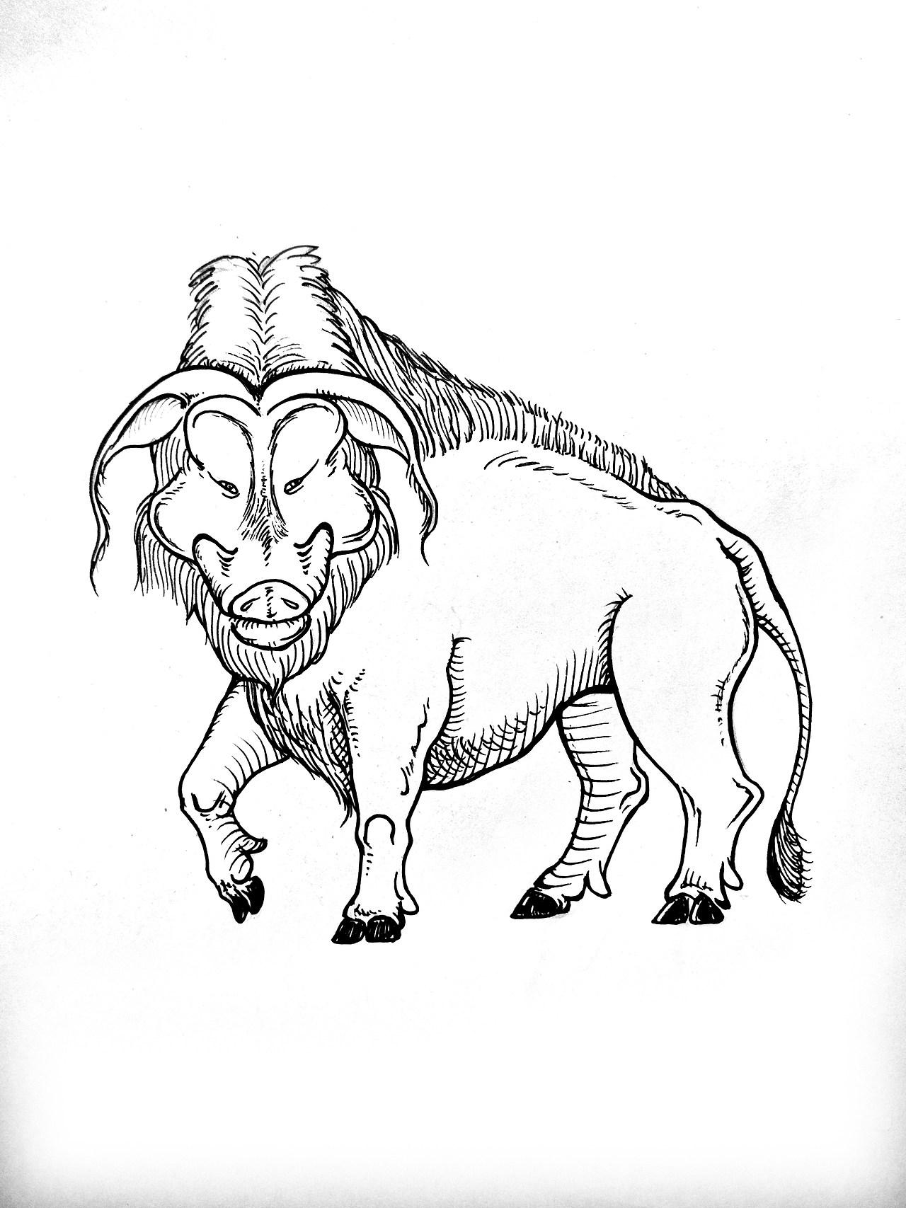 山海经神兽考-猛兽（图ZMzYwNDkyNTYw） - 概念设定 - 站酷设计师MUGU工舍原创素材 - 站酷ZCOOL