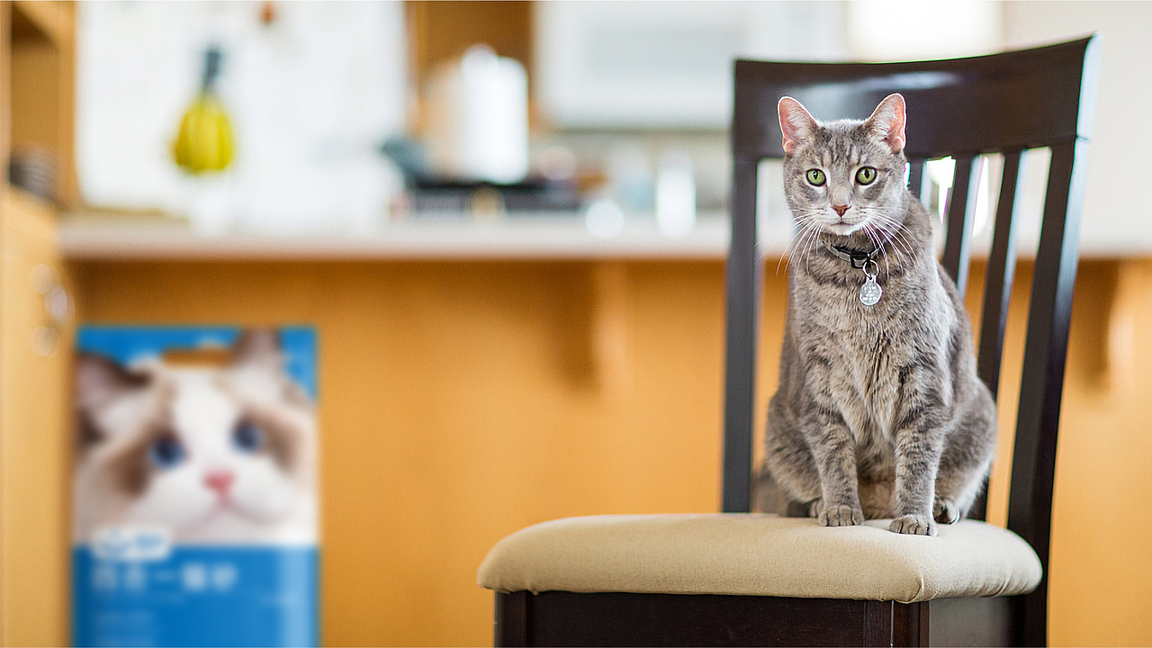 宠物用品包装设计 | 猫砂