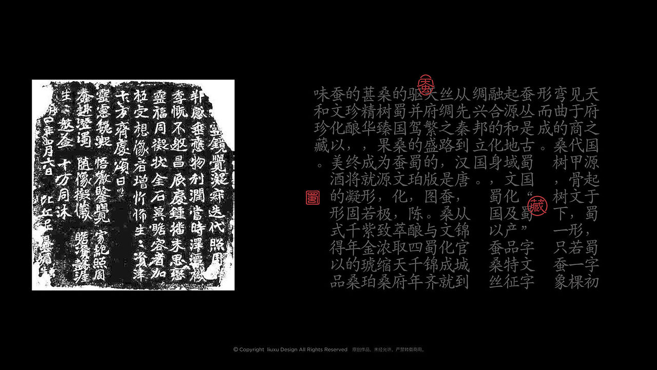 酒包装-蜀珀桑葚果酒包装