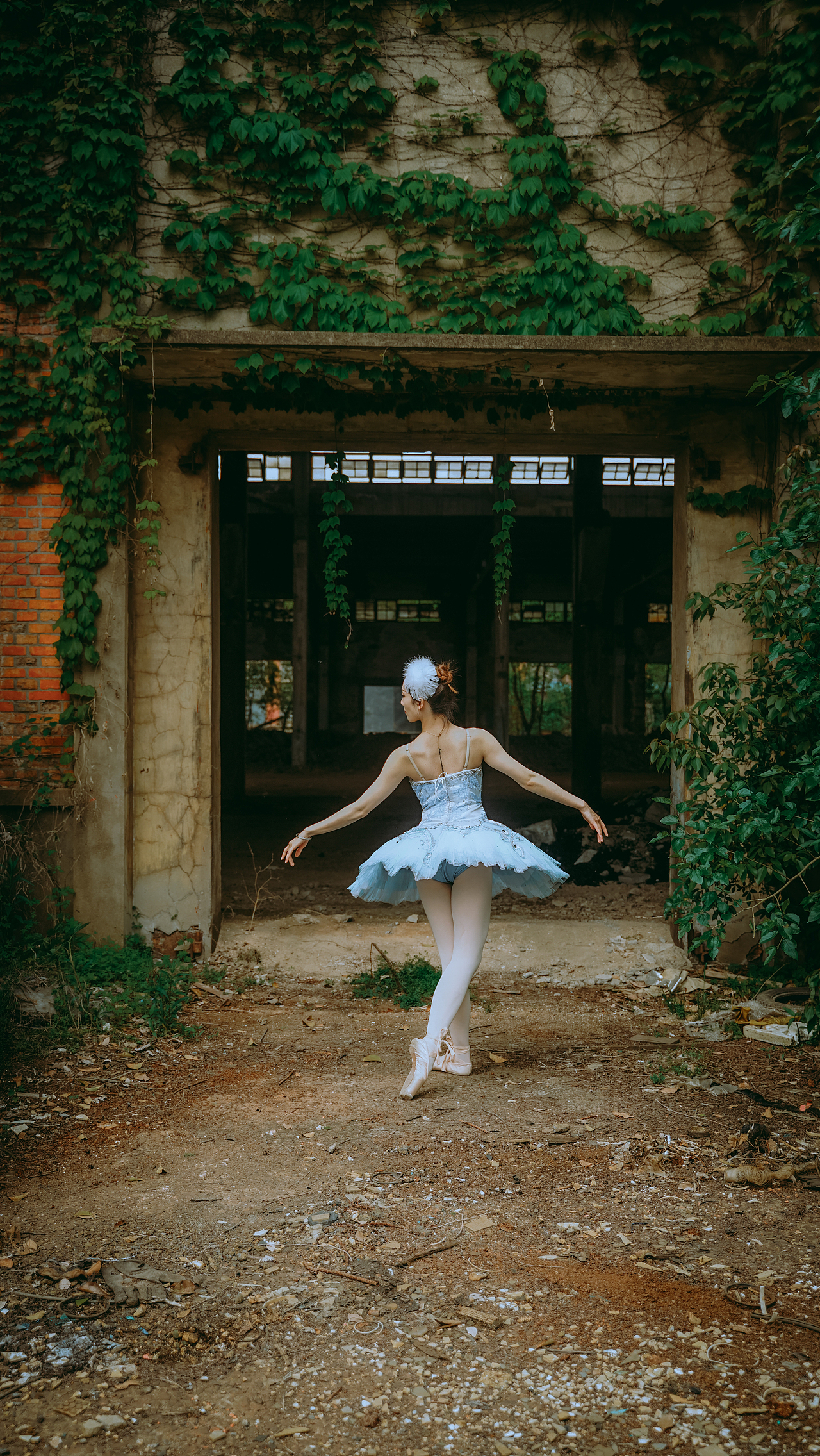 废墟上的芭蕾