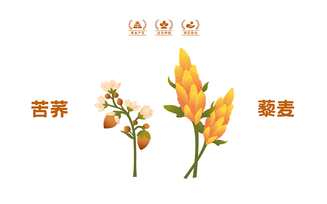 苦荞藜麦谷物粉（图ZMzQ1OTU2NTU2） - 包装 - 站酷设计师游子阁原创素材 - 站酷ZCOOL