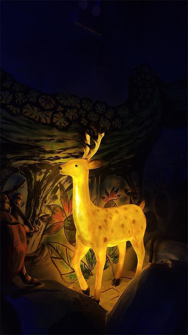 2022「手机摄影合集 」- 记录镜头下的美好瞬间