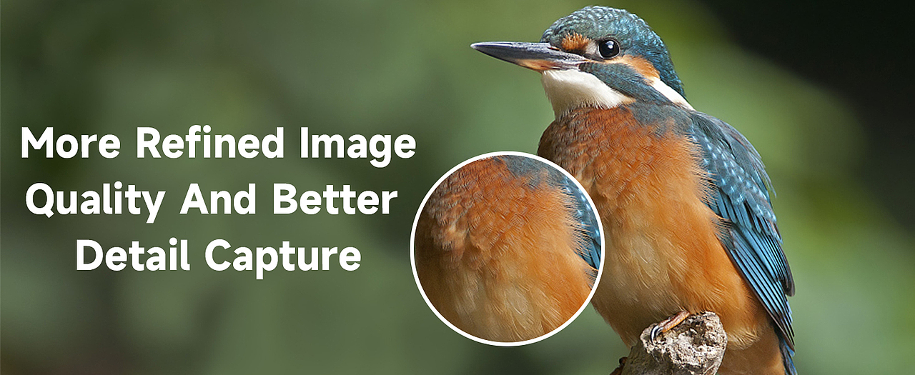 亚马逊跨境喂鸟器A+页面电商设计（图ZMzYwMjU3NTg0） - 电商 - 站酷设计师喵倪大爷原创素材 - 站酷ZCOOL