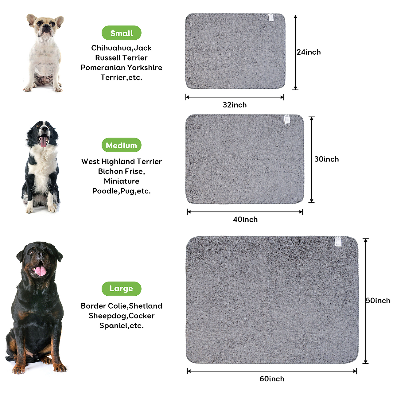 宠物泳衣拍摄产品广告毛毯摄影视频亚马逊制作主图拍照