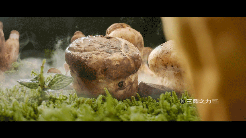 美食视频 | 山之鲜 X SANDING