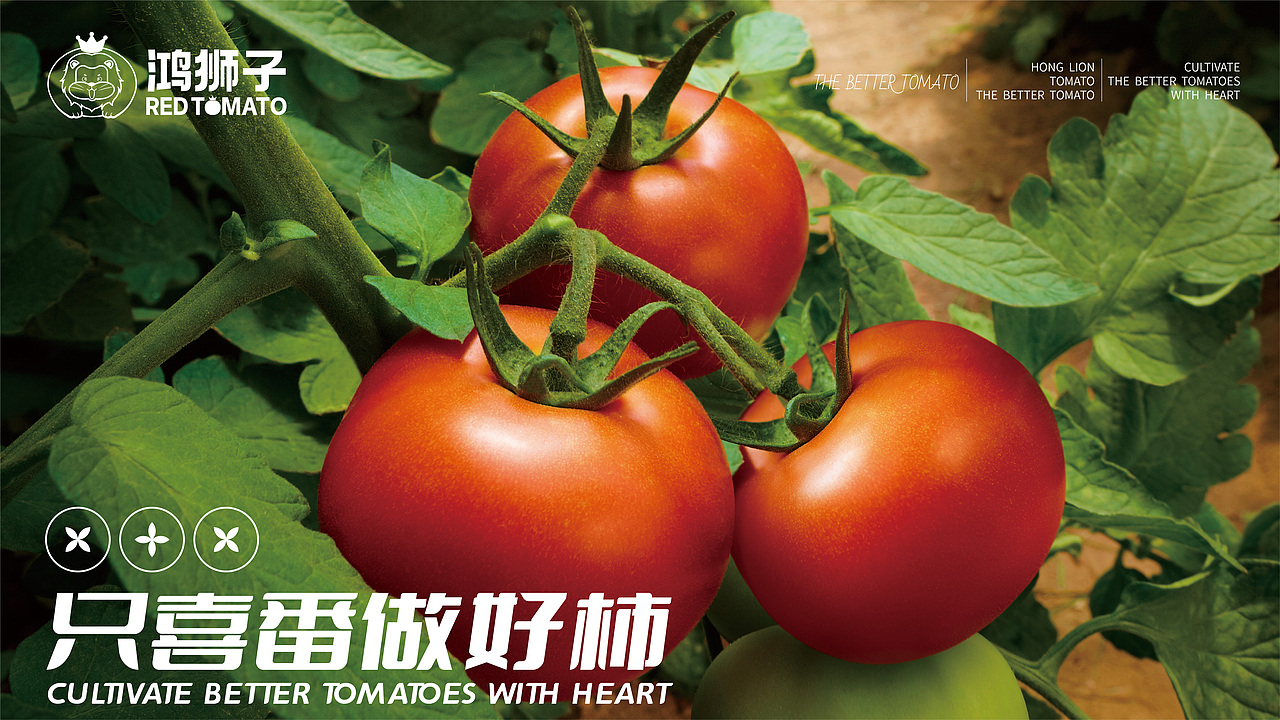 爆造羊驼 x 鸿狮子 | 只喜番做好柿