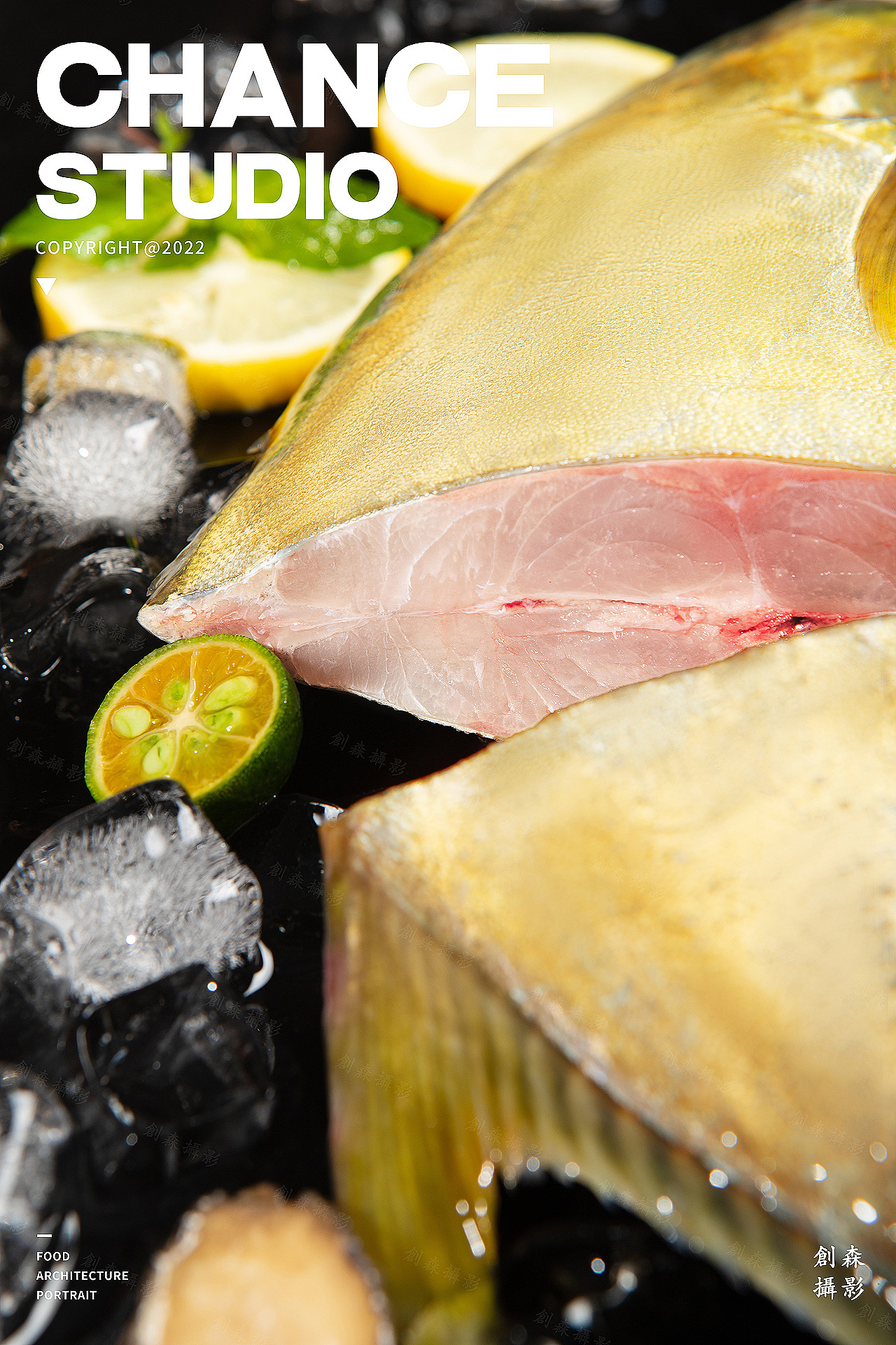 创森摄影 | 中国金鲳鱼之都——湛江