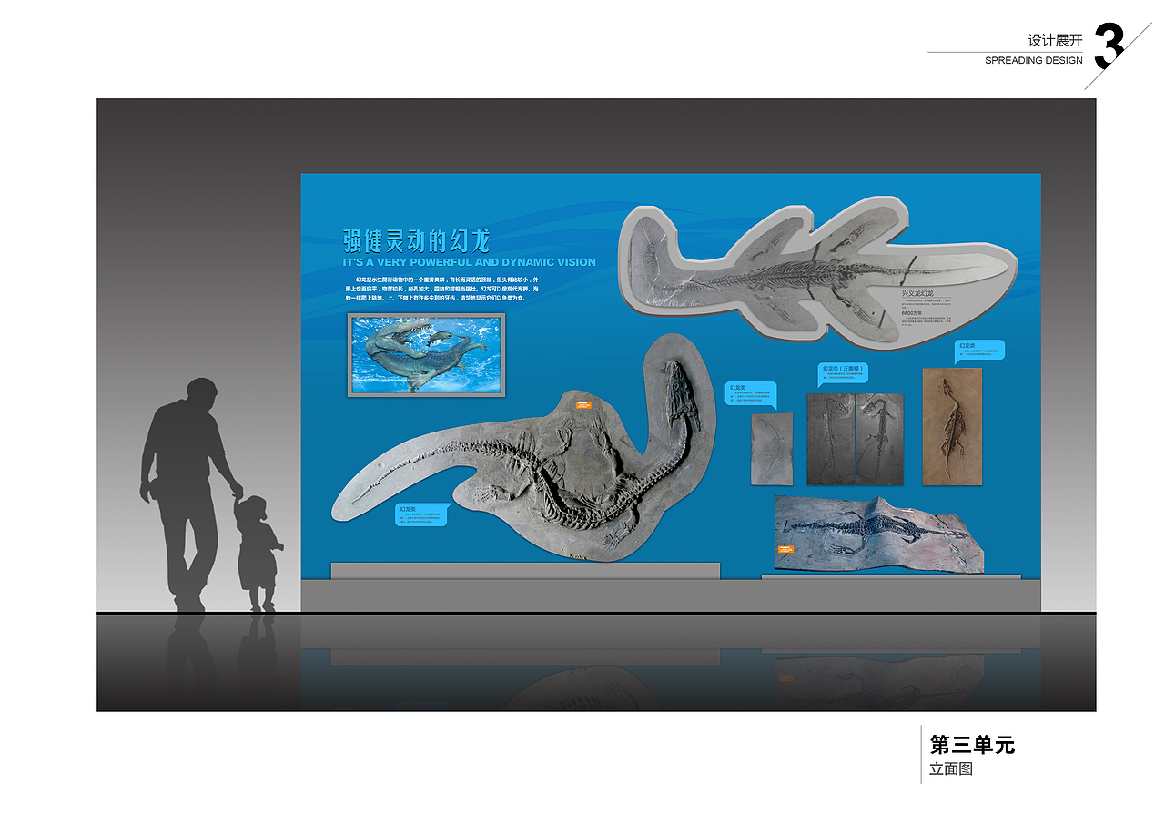 海洋展厅立面展示