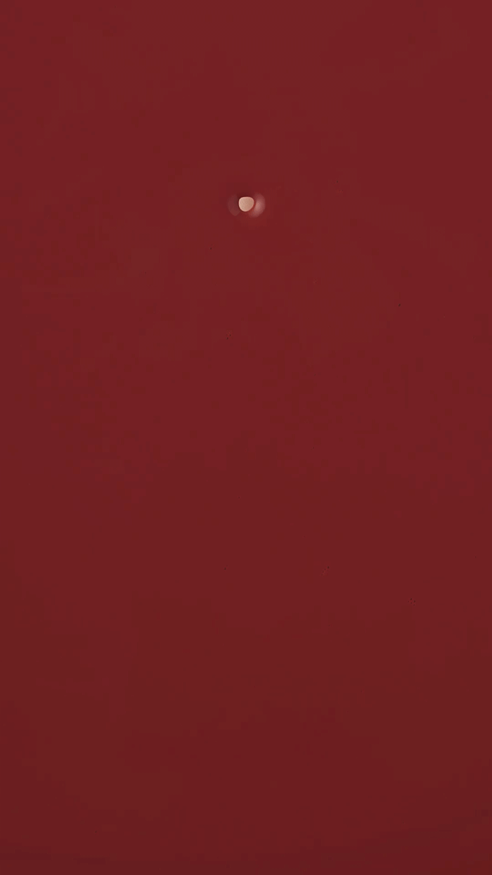 兰蔻粉金管✖美妆拍摄