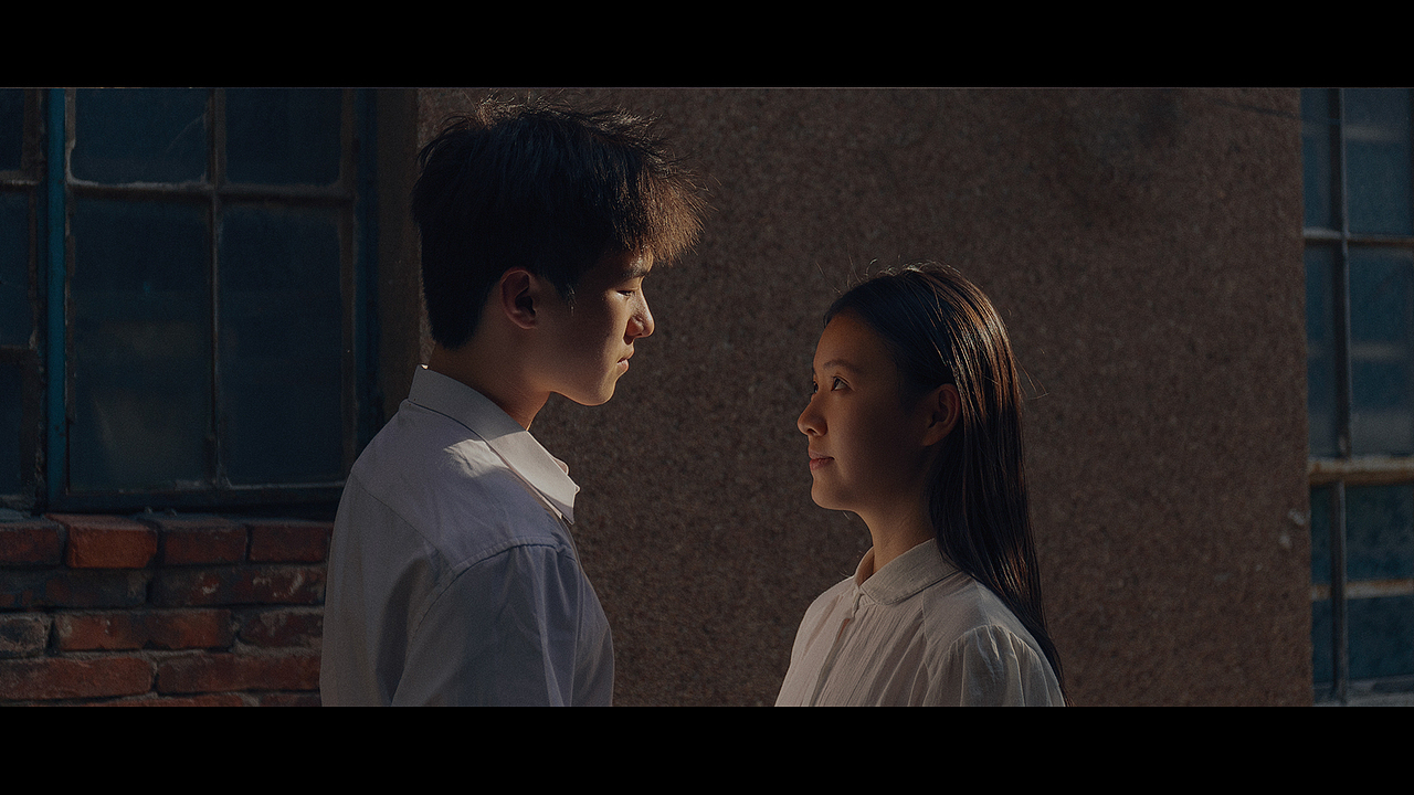 春风十里燕双飞