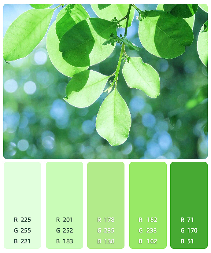 色彩练习（图ZMzM2OTMwNjcy） - 其他 - 站酷设计师爱笑的眼睛101010原创素材 - 站酷ZCOOL