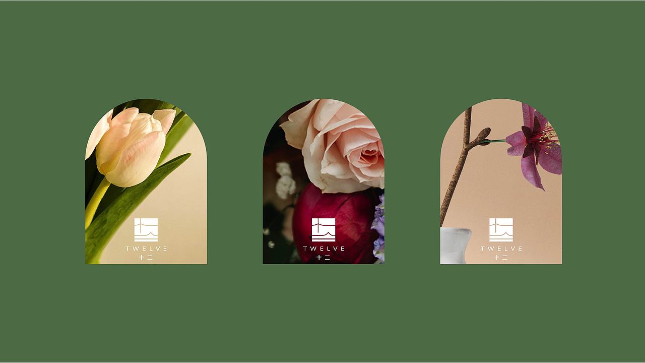 绿植集合店——时而 十二 看时光流梭,只在十二