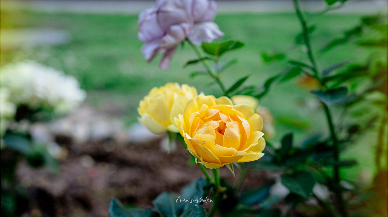 女生手中sony A7c能有多好用呢（图ZMzAyNTMxMzU2） - 人像摄影 - 站酷设计师原来是惊蛰啊原创素材 - 站酷ZCOOL