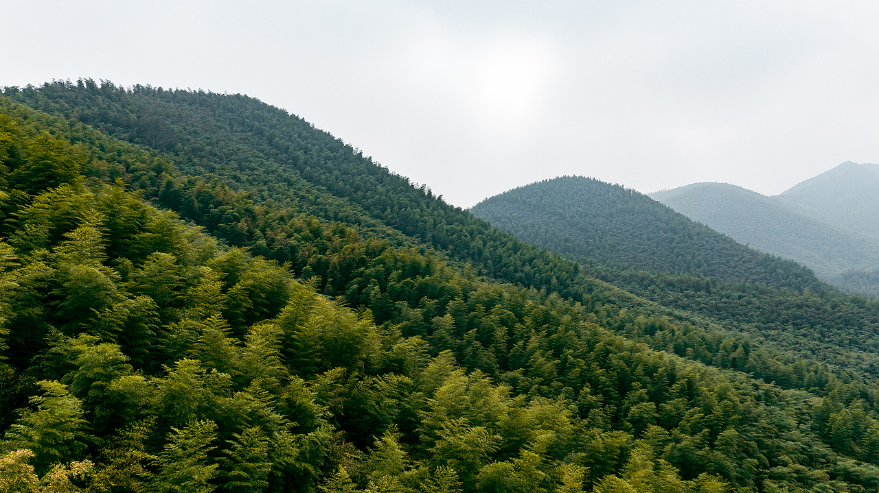 『建筑空间摄影』湖州慧心谷绿奢度假村
