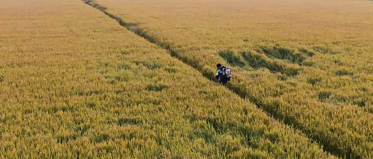 德基广场天使的愿望