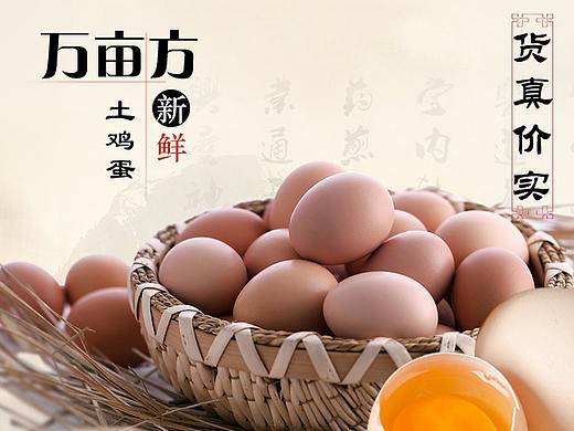 南阳淘宝众筹设计|养生鸡蛋详情页|南阳淘邦电商