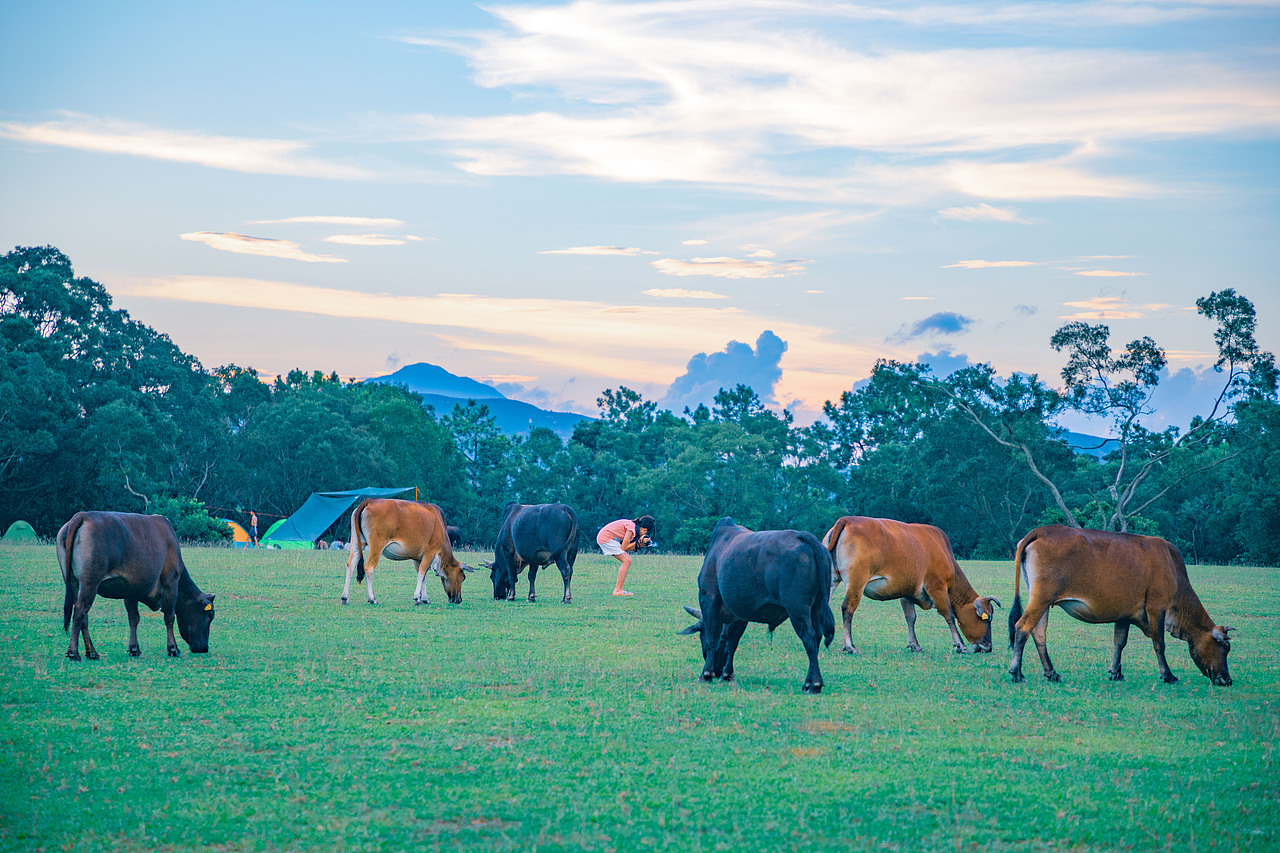 香港湾仔南营地及周边02