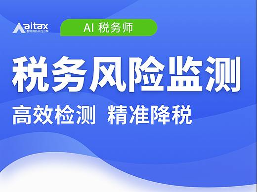 AI TAX 解决方案（20年）