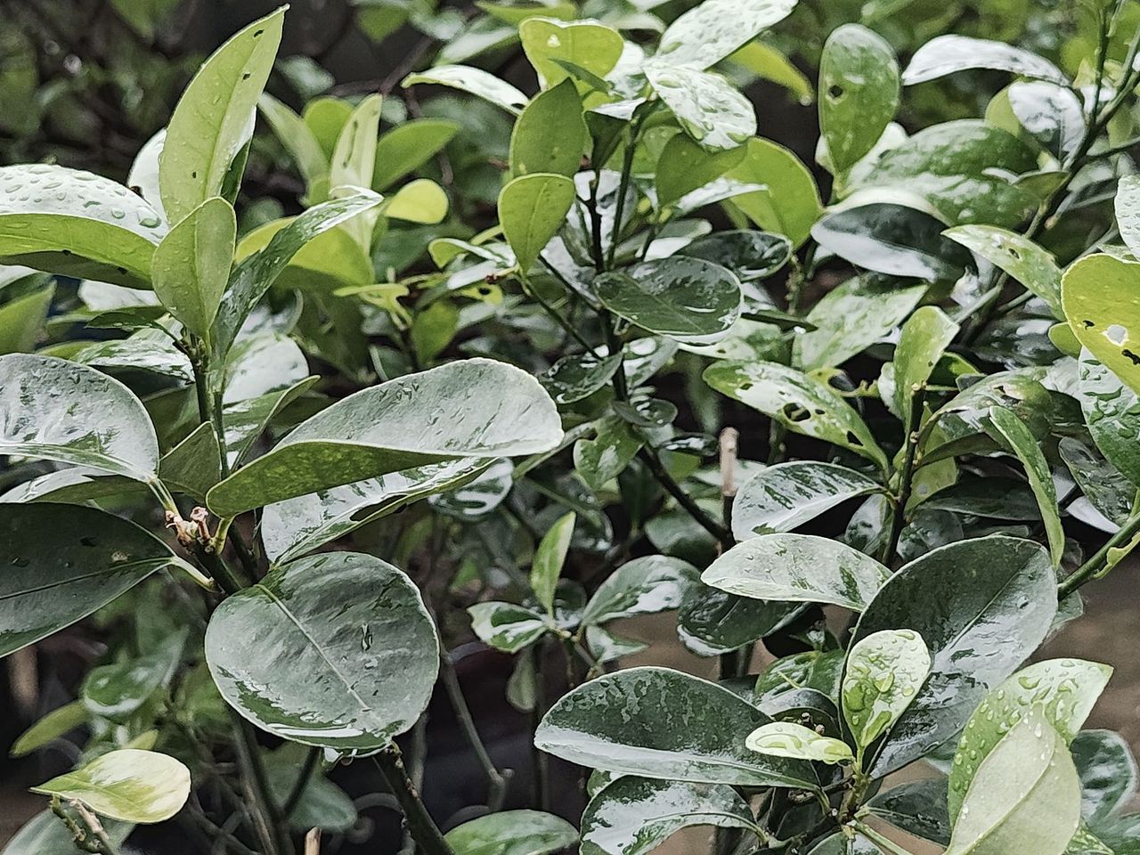 暴雨过后（图ZMzY4MDU0MzI4） - 风光摄影 - 站酷设计师圆真王子原创素材 - 站酷ZCOOL