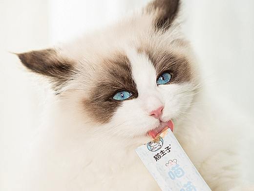 宠物零食 猫条