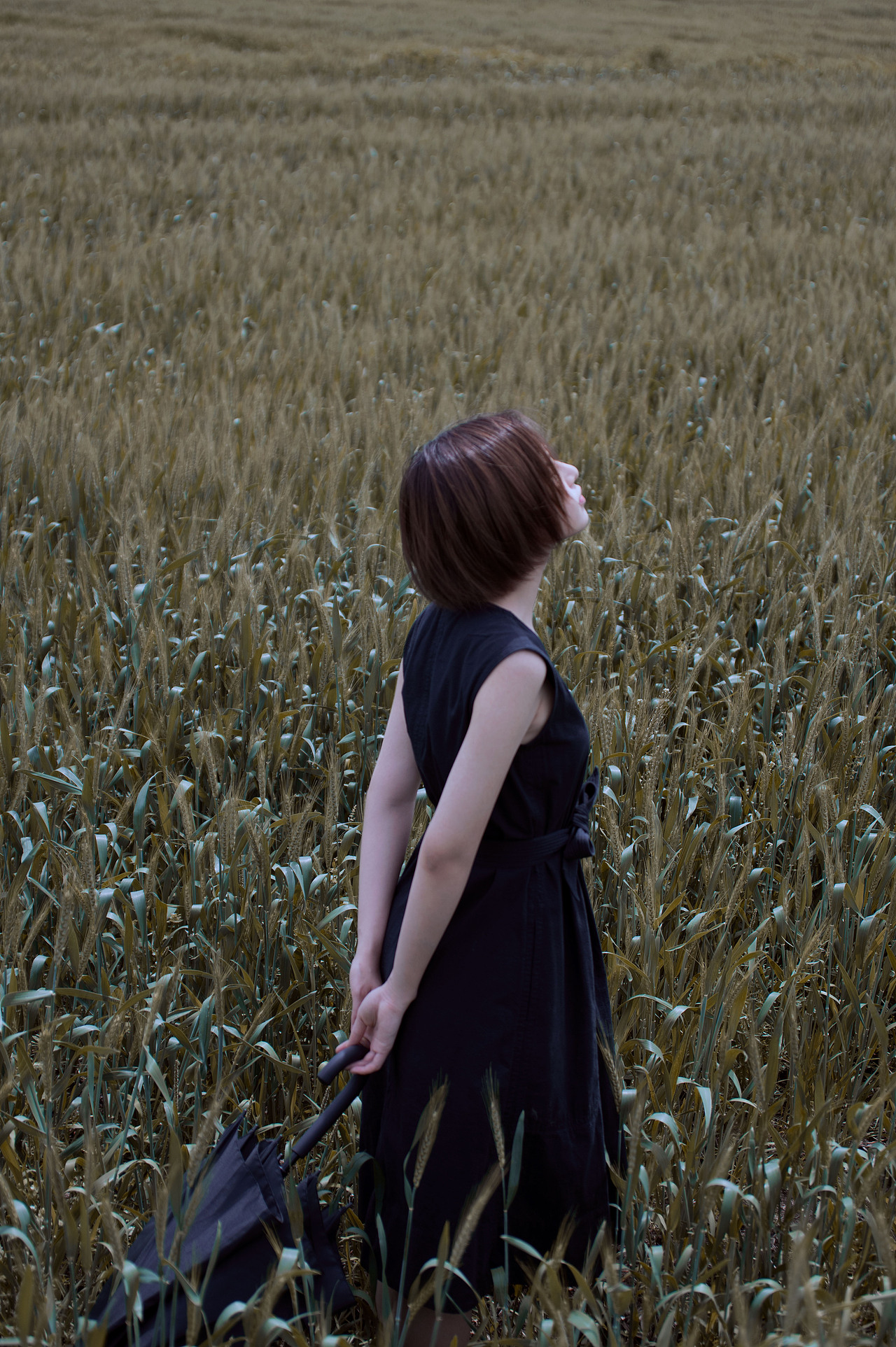 伞下又是一个雨天