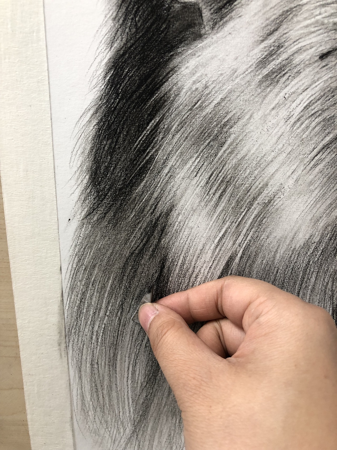 素描臨摹獅子???（圖ZMjYyNDcyMjY4） - 繪畫 - 站酷設(shè)計(jì)師辰悅Wendy原創(chuàng)素材 - 站酷ZCOOL