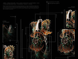 負(fù)值進(jìn)化 投影部分