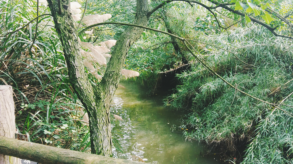 来来往往河姆渡