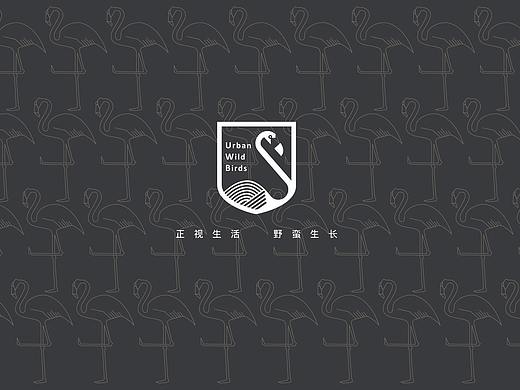城市野鸟品牌vi设计