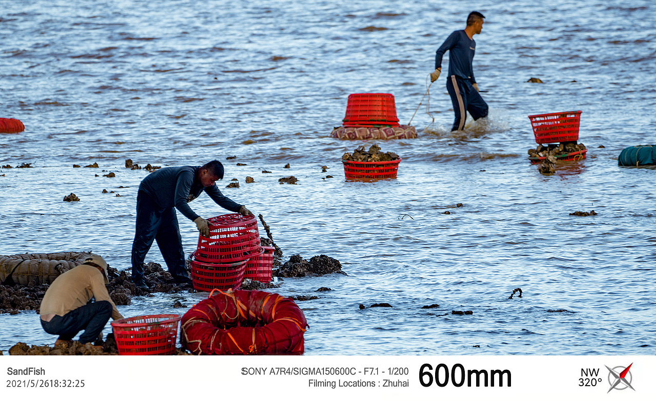 蓝天下得采蚝人2021.5.26（图ZMjU5NjU5NDQ0） - 风光摄影 - 站酷设计师拿铁生椰原创素材 - 站酷ZCOOL