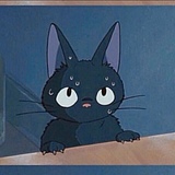 夏目的猫咪老师的头像