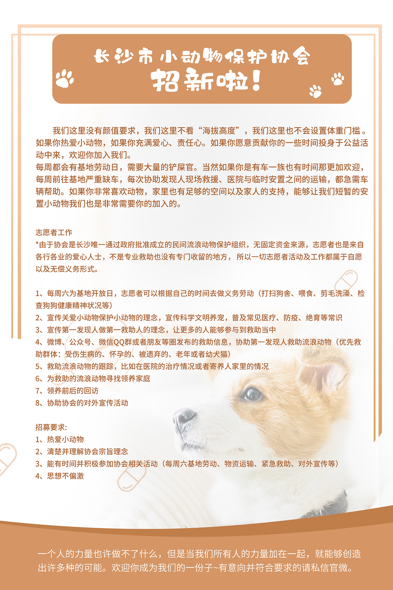 長(zhǎng)沙市小動(dòng)物保護(hù)協(xié)會(huì)招新海報(bào)（圖ZMTY5ODA0NDA0） - 宣傳物料 - 站酷設(shè)計(jì)師菜菜菜i原創(chuàng)素材 - 站酷ZCOOL