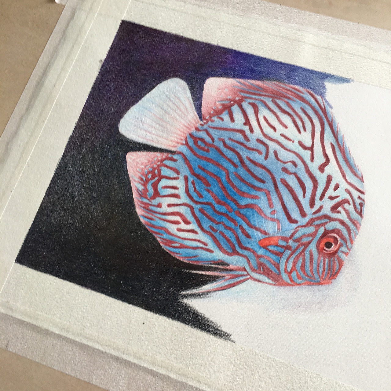 画一条鱼便爱上一条鱼（图ZMTA3ODA5MTY0） - 创作习作 - 站酷设计师_lelia原创素材 - 站酷ZCOOL