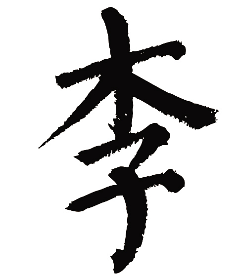 常用1000字简繁体李