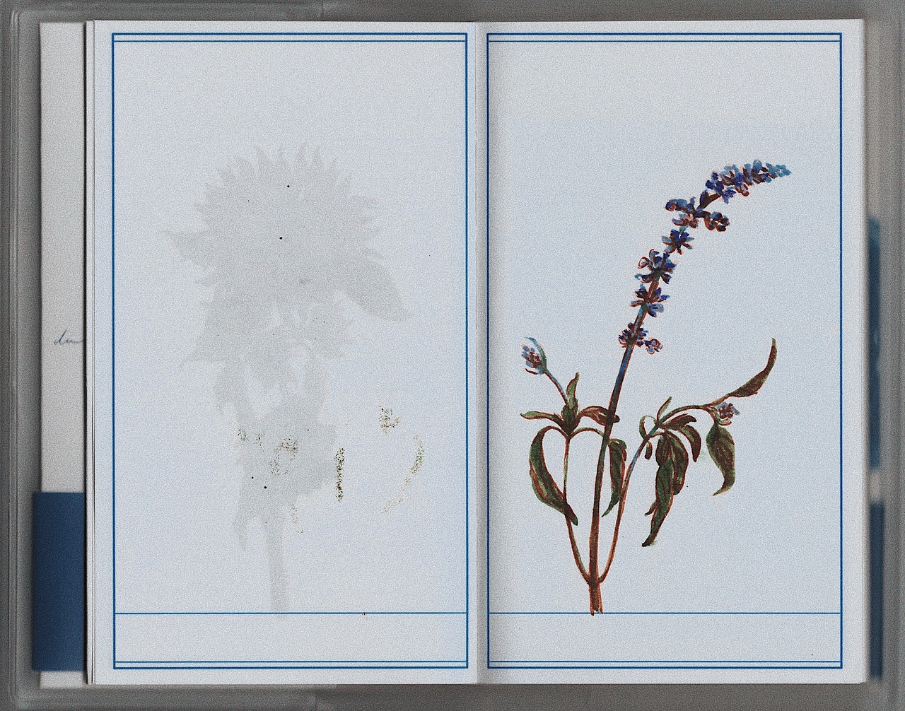 给新买的本子换了封面（图ZMjAyNDQ3NTA4） - 艺术插画 - 站酷设计师AMENGA原创素材 - 站酷ZCOOL