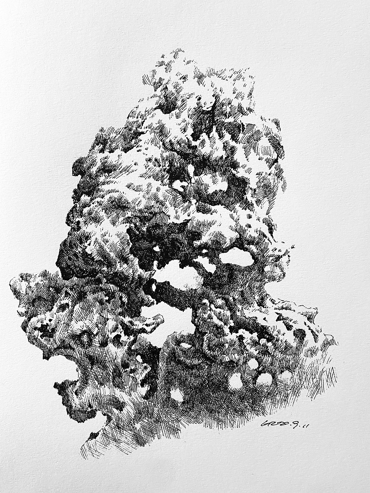 太湖石|纯艺术|绘画|会画画的建筑师_原创作品-站酷zcool