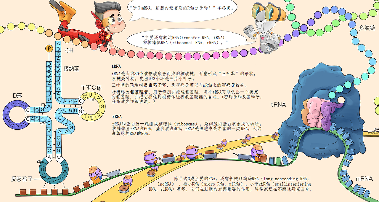 宇宙科普绘本第二单 已商用（图ZMjM1MDAzODg0） - 商业插画 - 站酷设计师画画的蛮蛮原创素材 - 站酷ZCOOL