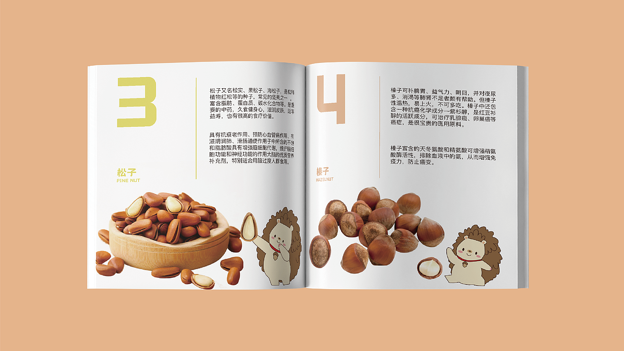 悠酷坚果（图ZMjQ4MjM4MzI0） - 品牌 - 站酷设计师Z40374850原创素材 - 站酷ZCOOL