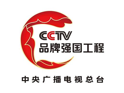CCTV品牌强国工程双线标logo