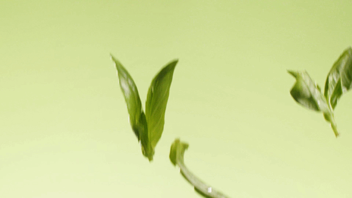 【平面+视频】轻烹烹 ✖ INLIGHT l 意面拍摄（图ZMjQ5Mzg3ODE2） - 美食摄影 - 站酷设计师INLIGHT光合原创素材 - 站酷ZCOOL