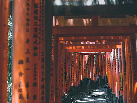 暴走京都，非打卡行摄记录（二）