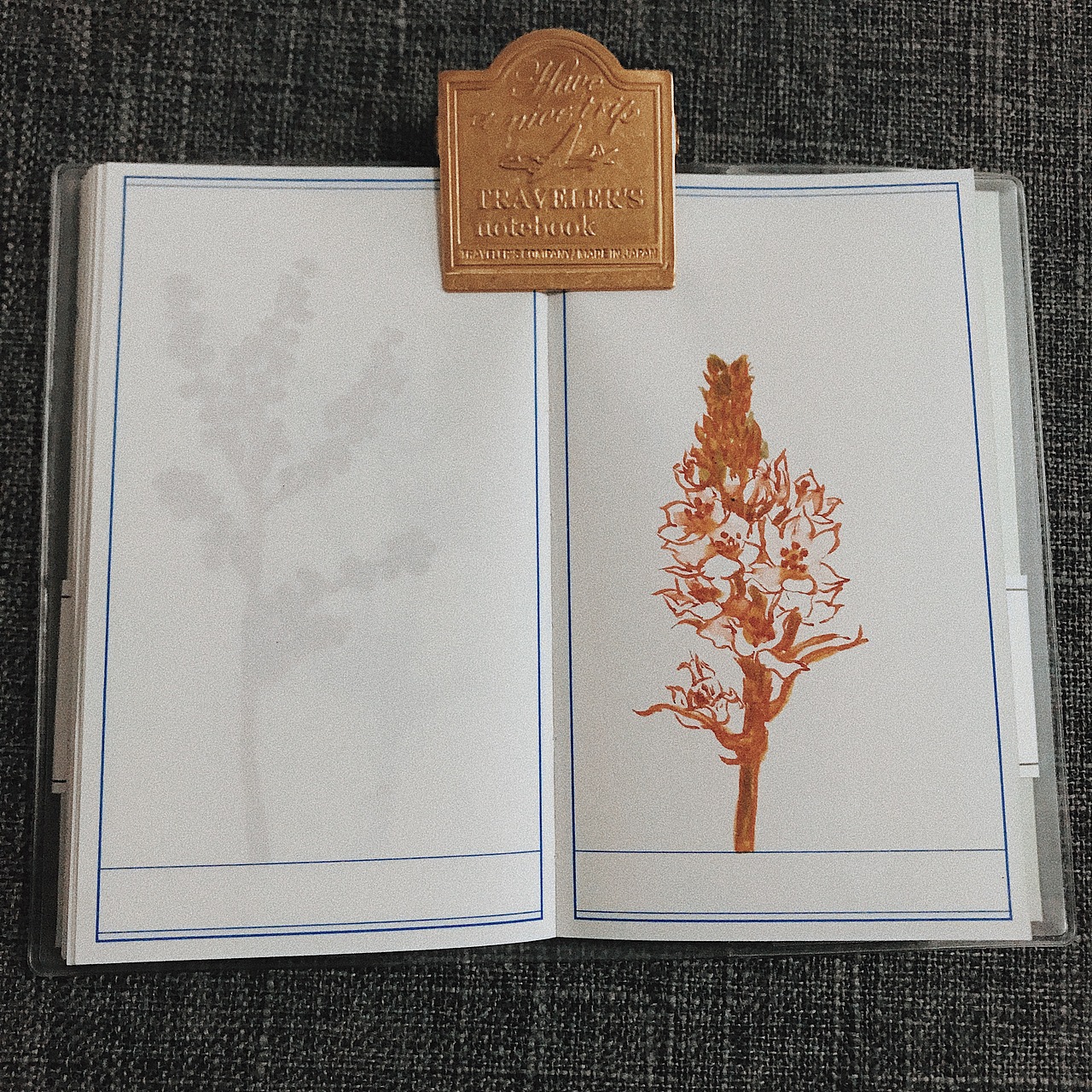 植物说（图ZMjA2MTI1OTI4） - 艺术插画 - 站酷设计师AMENGA原创素材 - 站酷ZCOOL