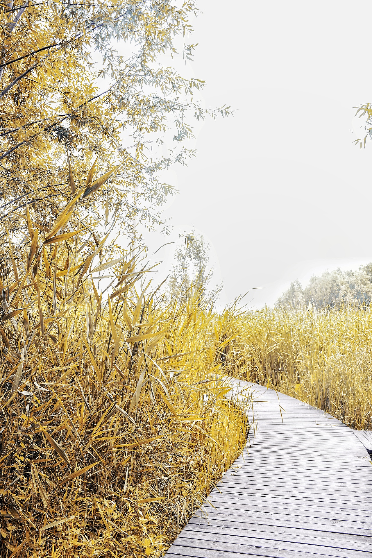 冷色（图ZOTkwODgxMjg=） - 风光摄影 - 站酷设计师她说tashuo原创素材 - 站酷ZCOOL