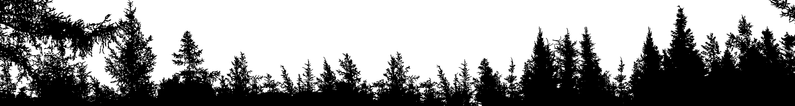 行動才是秋后果的個人主頁（封面預覽） - 主頁封面設(shè)置 - 站酷設(shè)計師行動才是秋后果原創(chuàng)素材 - 站酷ZCOOL