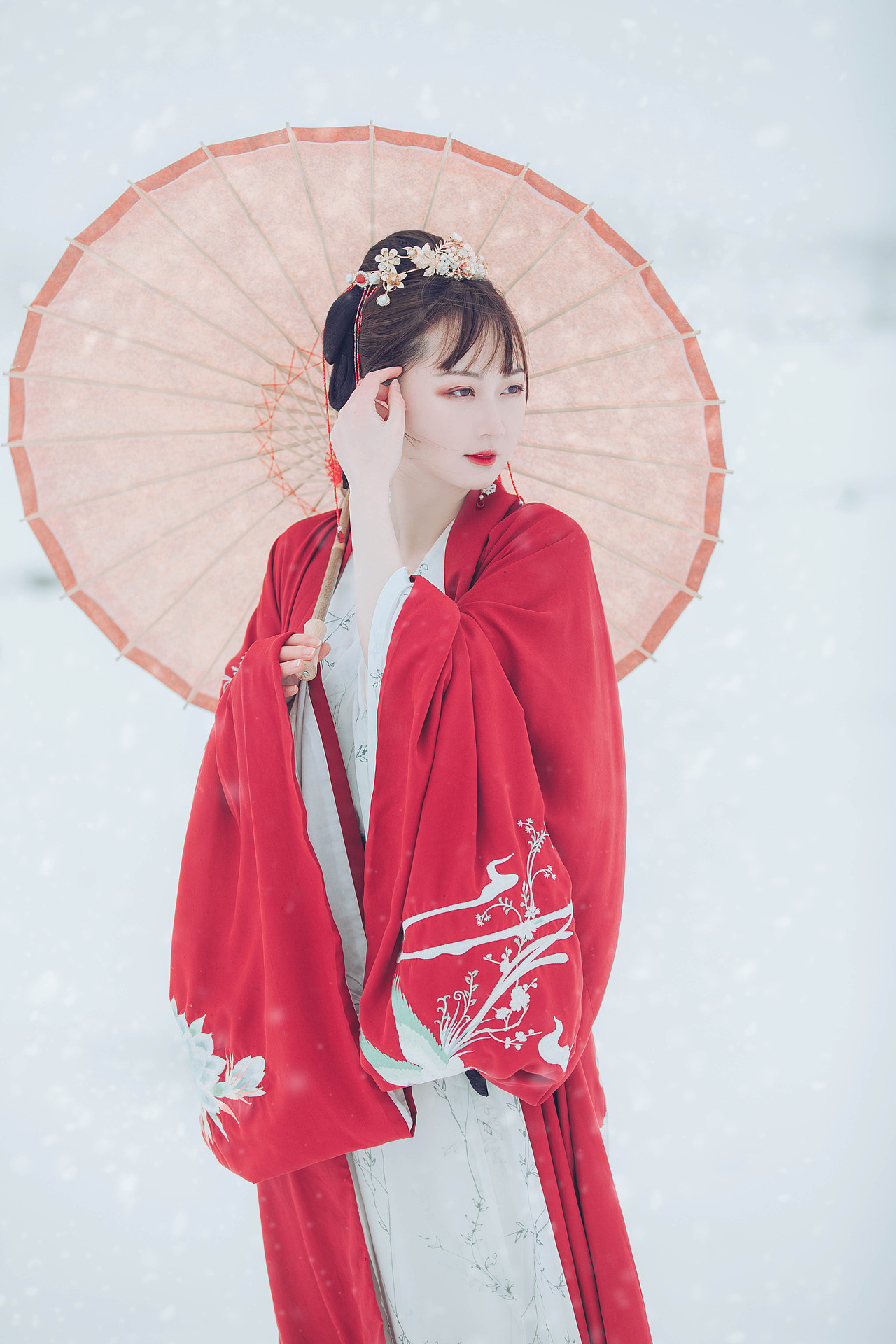 细雪纷纷覆上眉目