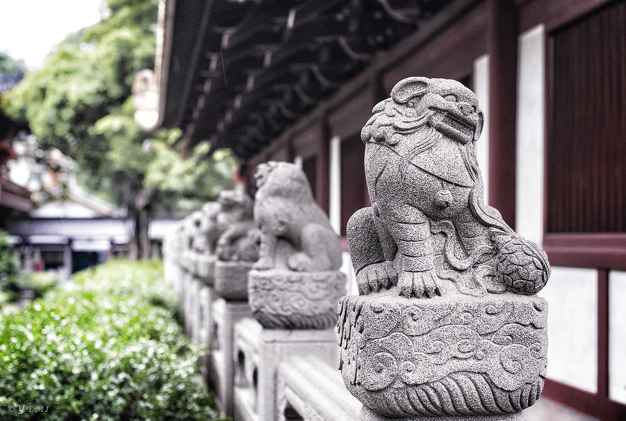 微雨光孝寺（图ZNDE0NzAzMTY=） - 风光摄影 - 站酷设计师夜迷原创素材 - 站酷ZCOOL