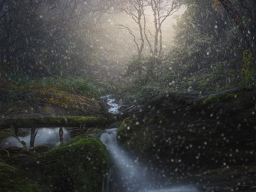 雪花